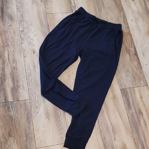Like New Cozy Earth Joggers